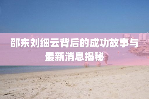 邵東劉細云背后的成功故事與最新消息揭秘