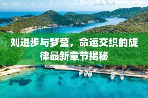 劉進(jìn)步與夢(mèng)瑩，命運(yùn)交織的旋律最新章節(jié)揭秘