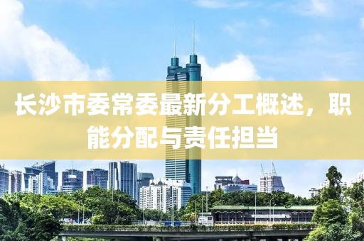 長沙市委常委最新分工概述，職能分配與責任擔當