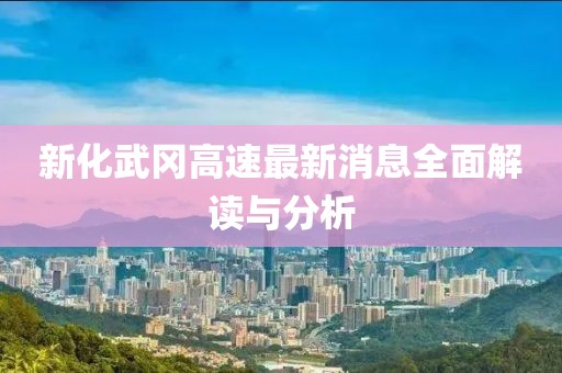 新化武岡高速最新消息全面解讀與分析