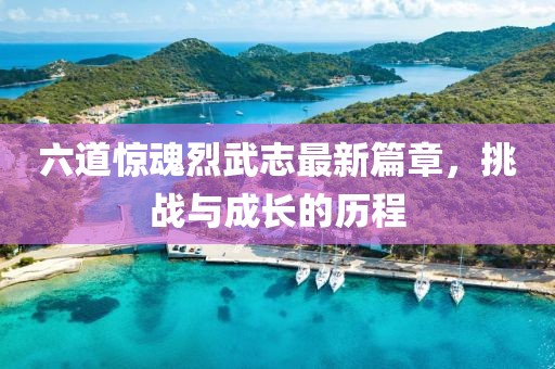 六道驚魂烈武志最新篇章，挑戰(zhàn)與成長的歷程