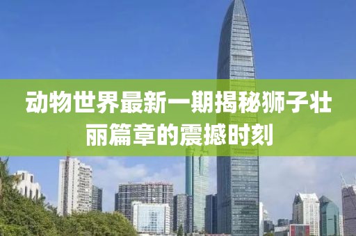 動物世界最新一期揭秘獅子壯麗篇章的震撼時刻