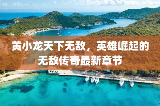 黃小龍?zhí)煜聼o敵，英雄崛起的無敵傳奇最新章節(jié)