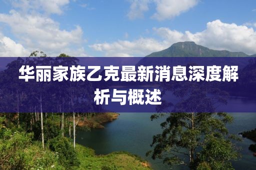 華麗家族乙克最新消息深度解析與概述