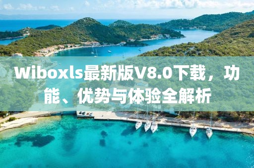 Wiboxls最新版V8.0下載，功能、優(yōu)勢(shì)與體驗(yàn)全解析