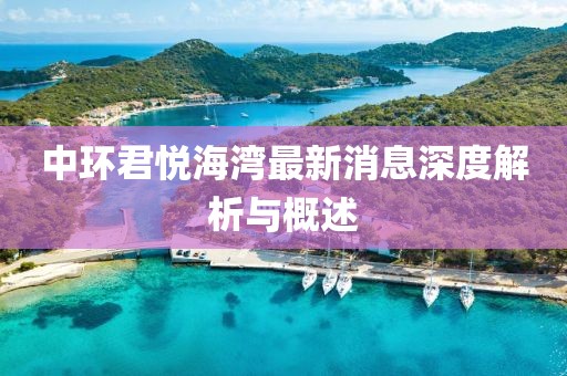 中環(huán)君悅海灣最新消息深度解析與概述