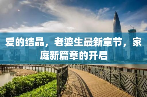 愛的結(jié)晶，老婆生最新章節(jié)，家庭新篇章的開啟