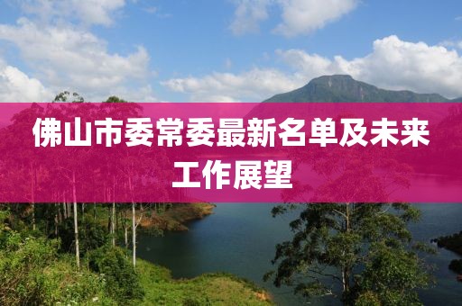 佛山市委常委最新名單及未來工作展望