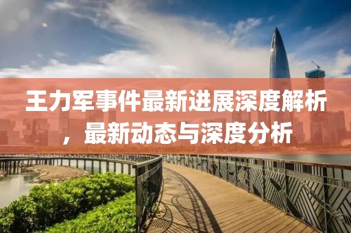 王力軍事件最新進(jìn)展深度解析，最新動態(tài)與深度分析