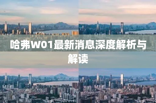 哈弗W01最新消息深度解析與解讀