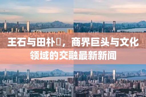 王石與田樸琤，商界巨頭與文化領(lǐng)域的交融最新新聞