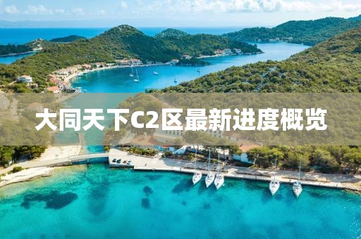 大同天下C2區(qū)最新進(jìn)度概覽