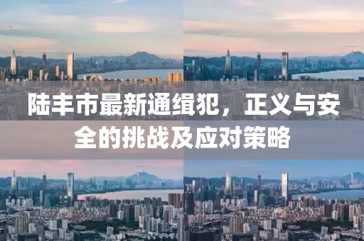 陸豐市最新通緝犯，正義與安全的挑戰(zhàn)及應(yīng)對(duì)策略