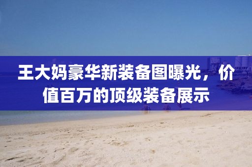 王大媽豪華新裝備圖曝光，價值百萬的頂級裝備展示