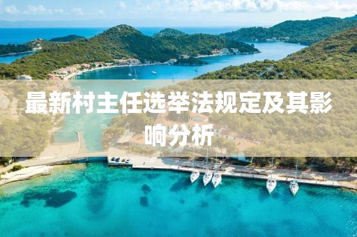 最新村主任選舉法規(guī)定及其影響分析