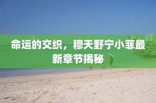 命運(yùn)的交織，穆天野寧小菲最新章節(jié)揭秘