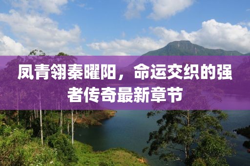 鳳青翎秦曜陽，命運交織的強者傳奇最新章節(jié)