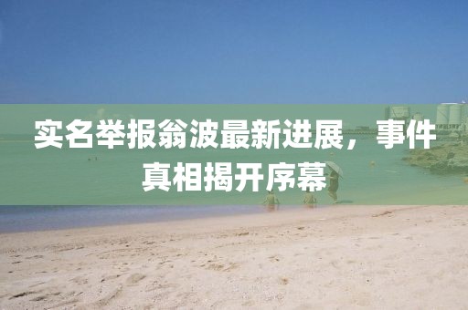 實名舉報翁波最新進展，事件真相揭開序幕