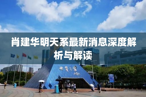 肖建華明天系最新消息深度解析與解讀
