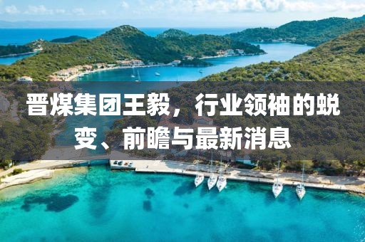 晉煤集團王毅，行業(yè)領(lǐng)袖的蛻變、前瞻與最新消息