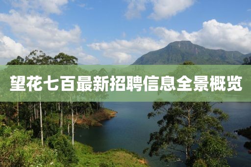 望花七百最新招聘信息全景概覽