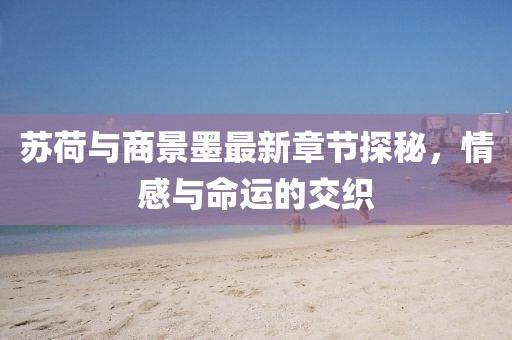 蘇荷與商景墨最新章節(jié)探秘，情感與命運(yùn)的交織