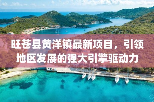 旺蒼縣黃洋鎮(zhèn)最新項目，引領(lǐng)地區(qū)發(fā)展的強大引擎驅(qū)動力