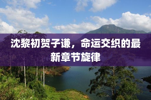 沈黎初賀子謙，命運(yùn)交織的最新章節(jié)旋律
