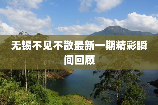 無錫不見不散最新一期精彩瞬間回顧