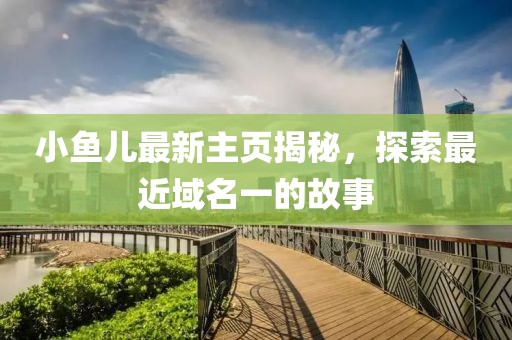 小魚兒最新主頁揭秘，探索最近域名一的故事