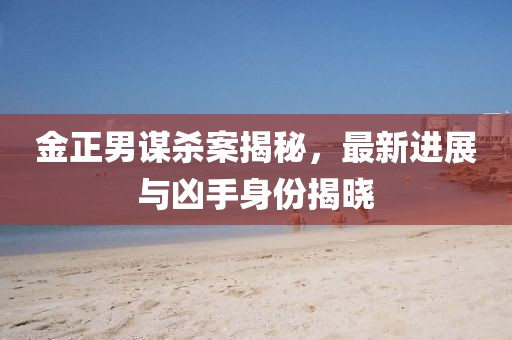 金正男謀殺案揭秘，最新進(jìn)展與兇手身份揭曉