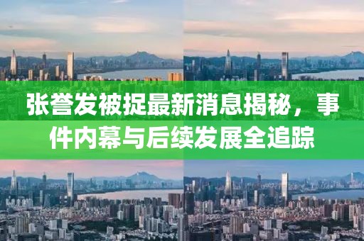 張譽發(fā)被捉最新消息揭秘，事件內幕與后續(xù)發(fā)展全追蹤