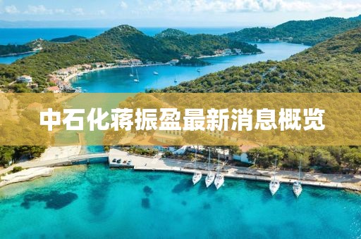 中石化蔣振盈最新消息概覽
