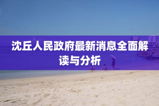 沈丘人民政府最新消息全面解讀與分析