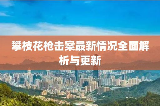 攀枝花槍擊案最新情況全面解析與更新