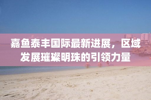 嘉魚泰豐國際最新進展，區(qū)域發(fā)展璀璨明珠的引領(lǐng)力量
