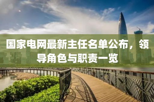 國(guó)家電網(wǎng)最新主任名單公布，領(lǐng)導(dǎo)角色與職責(zé)一覽