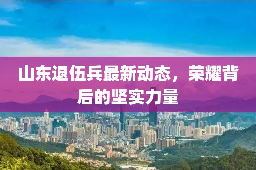 山東退伍兵最新動(dòng)態(tài)，榮耀背后的堅(jiān)實(shí)力量