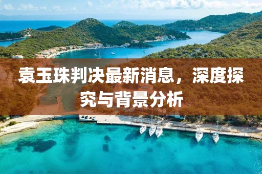 袁玉珠判決最新消息，深度探究與背景分析
