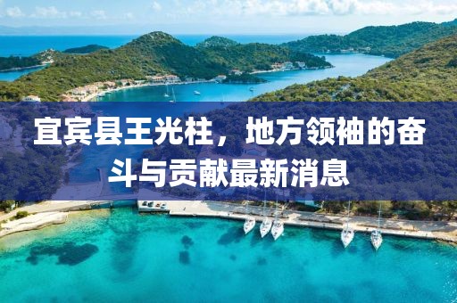 宜賓縣王光柱，地方領袖的奮斗與貢獻最新消息