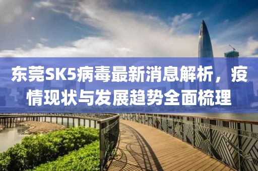 東莞SK5病毒最新消息解析，疫情現(xiàn)狀與發(fā)展趨勢全面梳理