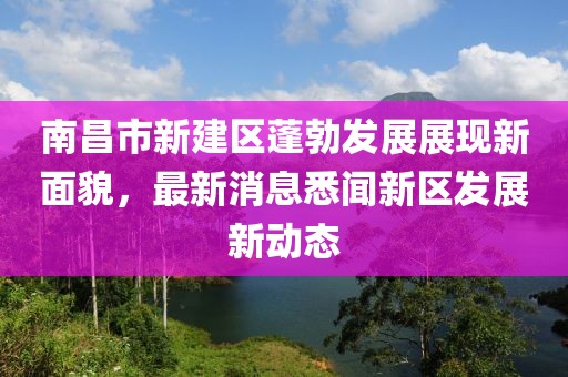 南昌市新建區(qū)蓬勃發(fā)展展現(xiàn)新面貌，最新消息悉聞新區(qū)發(fā)展新動(dòng)態(tài)