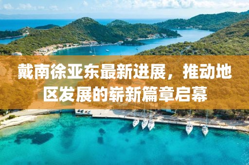 戴南徐亞?wèn)|最新進(jìn)展，推動(dòng)地區(qū)發(fā)展的嶄新篇章啟幕