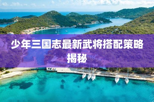 少年三國志最新武將搭配策略揭秘
