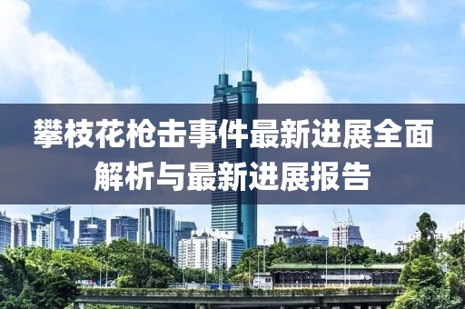 攀枝花槍擊事件最新進(jìn)展全面解析與最新進(jìn)展報(bào)告