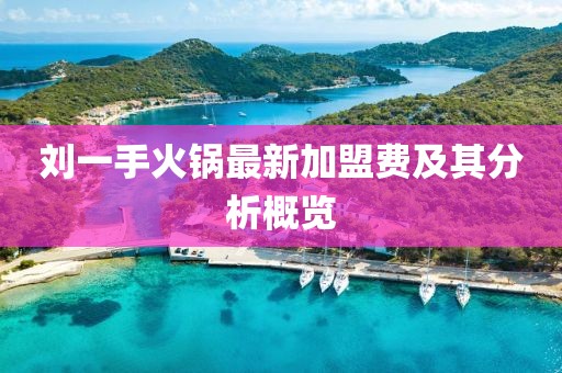 劉一手火鍋?zhàn)钚录用速M(fèi)及其分析概覽