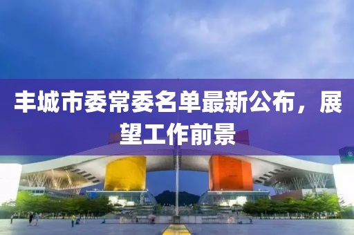 豐城市委常委名單最新公布，展望工作前景