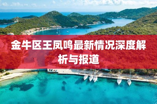 金牛區(qū)王鳳鳴最新情況深度解析與報(bào)道