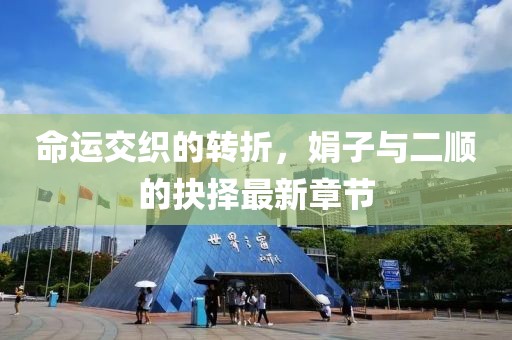 命運(yùn)交織的轉(zhuǎn)折，娟子與二順的抉擇最新章節(jié)