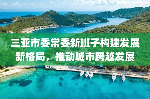 三亞市委常委新班子構(gòu)建發(fā)展新格局，推動(dòng)城市跨越發(fā)展